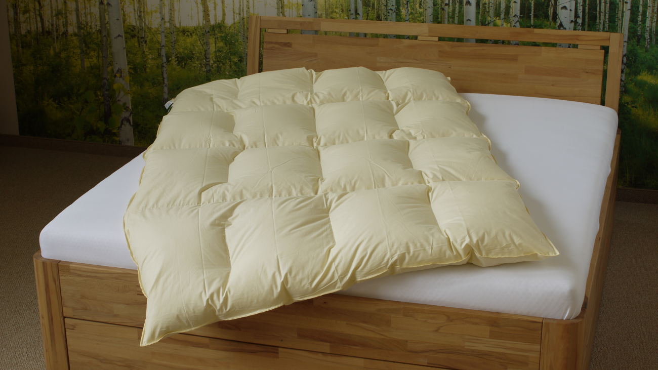 LIMA Daunendecke - Vital - Winter Bettdecke, Hülle aus 100% Baumwolle