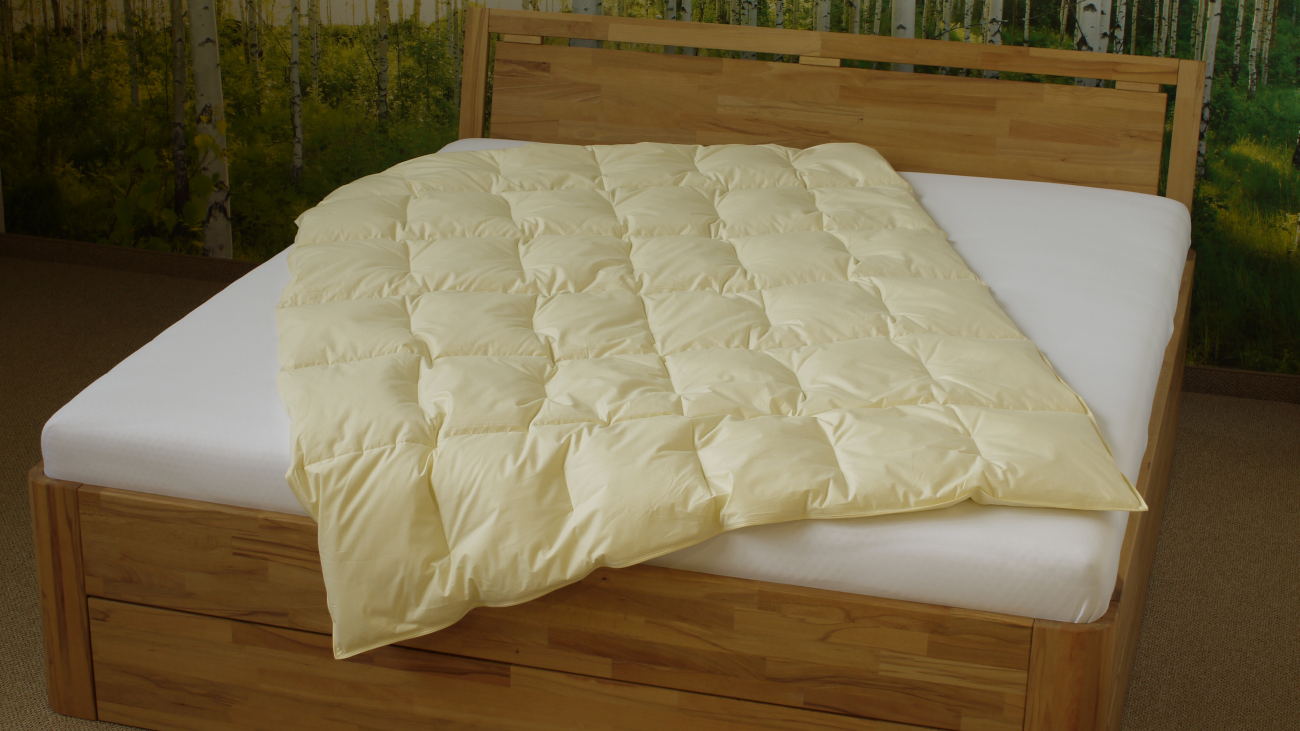 LIMA Daunendecke - Rubin - Ganzjahres Bettdecke, Hülle aus 100% Baumwolle